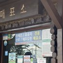 제주남쪽여행-2 휴애리 핑크뮬리축제(9월~10월) (핑크뮬리랑 미니돼지)