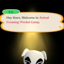 캠프다운 이미지