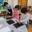 백운초교병설유치원 Daum카페