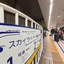 시티목욕탕 | 도쿄 시티 패스 × 게이세이 스카이라이너 세트 이용 후기