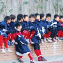 합성초등학교 이미지