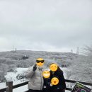 신도리-8 | 배 타고 제주도에 가다_7 (제주도 5일차)