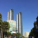 고리울로 이미지