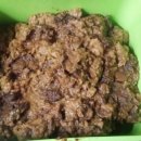 안단테민박 이미지