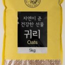 거시기슈퍼