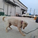 정우우체국 이미지