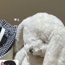 밍크뮤롯데전주점 이미지