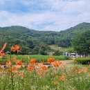 부용 - 경주시 금장1길 30 | 부용