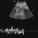 참여성병원 이미지