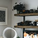 앨리슨하이퍼앰 | [다이슨] 새로운 물청소기 dyson WashG1™ 런칭 기념 소문내기!