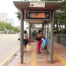 시청앞버스승강장 이미지