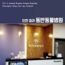 동물에반하다동물병원 이미지