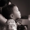 꿈의 대화 이미지