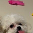 이정도우 이미지