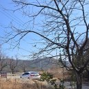 체육공원로399번길 이미지