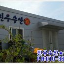 완도전복 이미지