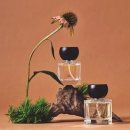 효자우리약국 이미지