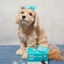 제형농장 이미지