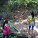 광교산생태학교 이미지