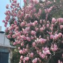 청주 마일로 에스프레소바☕️ : 무심천 카페 추천