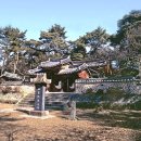 유림-1146 이미지