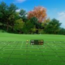 준스크린골프 이미지