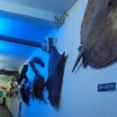 땅끝해양자연사박물관 이미지