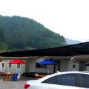 영심이네민박 이미지