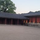 창경궁 야간 관람 후기 – 오후 8시, 조용한 고궁에서 느낀 시간 여행