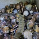 하나개편의점 이미지