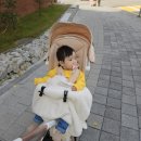 정상범 | 임당 1차 2차 재검 수치 통과 결과 시기 원인 증상 좋은음식 후기