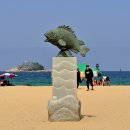 속초해수욕장 이미지