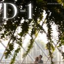 D-1 이미지