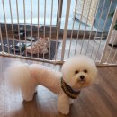 오늘도 너에개 이미지