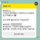 방콕비오비