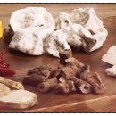 원메디주식회사 이미지