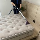 금수세탁 이미지