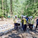 김삿갓면-41 이미지