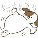 육하원칙율량점