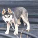 재중농장 이미지