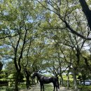 승수목장 이미지