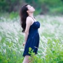 마음치유 시낭송 이미지