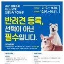 수정동로 이미지