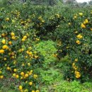 키즈키득펜션 이미지