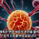 113. 아토피, 비염, 자가면역 질환의 공통 원인! 독소를 빼야 면역 균형이 살아납니다 이미지