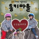 (주) 나유 | 홍천 아이와 가볼 만한 곳 동키마을 당나귀 타기 체험 솔직 리뷰