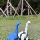 밀양노벨CC클럽하우스 | 9월 밀양 노벨 CC 힐코스 - 야간 라운딩 (3인 경기)