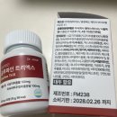엑스트리