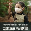 요모조모 그림책 요리교실 | 부산아이랑가볼만한곳 흙으로 노는 분리체험수업 고마워토토 부산명지점