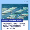 아쿠아팜